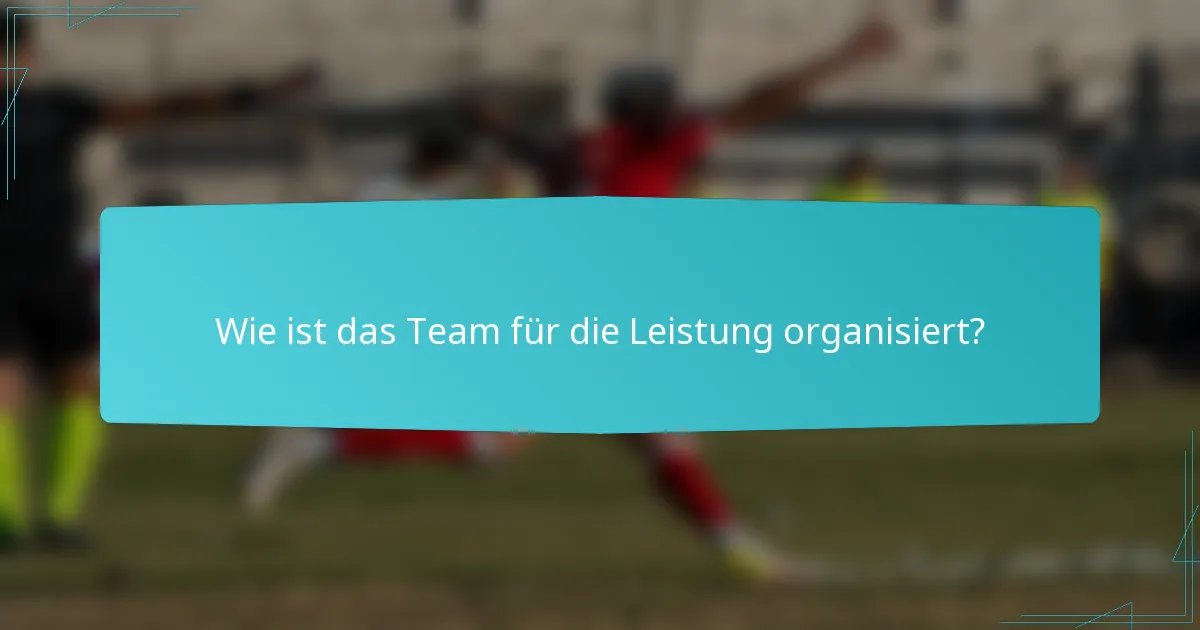 Wie ist das Team für die Leistung organisiert?